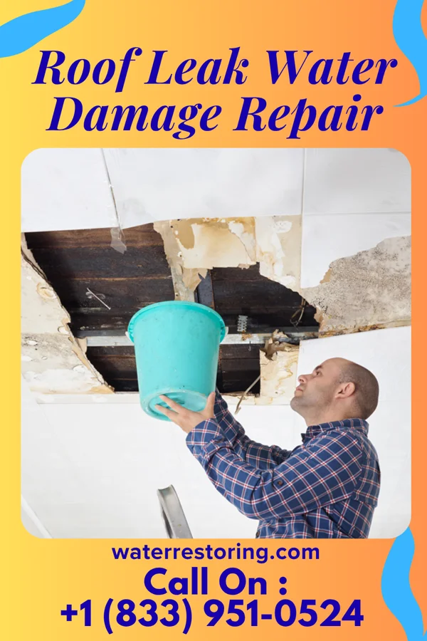 Roof Leak Water Damage Repair in Whitehouse, TX